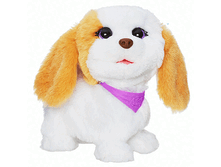 ������� �������. ����-����� �����.gif