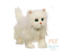 ������� ����� �����.jpg