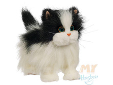 ������� ����� ����-������.jpg