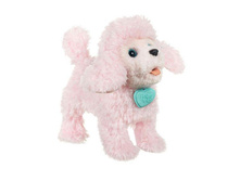 ������� ����� �������.jpg