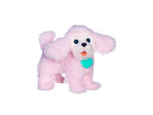 ������� �����. ������ PomPom.jpg