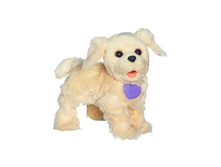 ������� �����. ����� �������.jpg