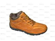 Eece 1201 ��-��� �����+��� ��� 40-45 (8 ���).JPG