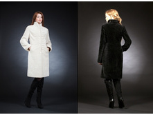 ����� �������� 100