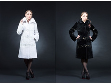 ������ �������� 100