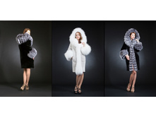 ������ ������� 95 �������