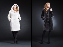 ���� 95 �������