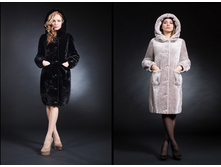 ����� ���� 95 �������