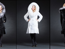 ������ 100