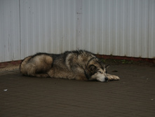IMG_8492.JPG