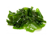 ��������� "������" 500 �� 325 ���