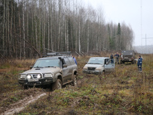 IMG_8667.JPG