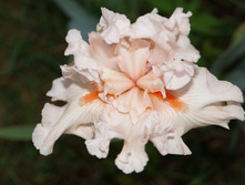DSC02357.JPG