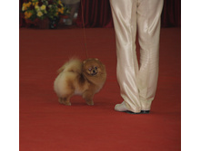 1-IMG_3689.JPG