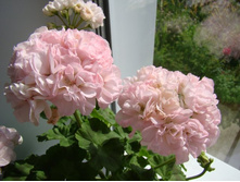 ���������� Dowerpoint(���� ����).jpg