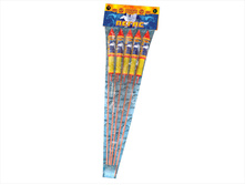 ��231 �����