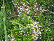 ���������� ������� ����������� '-60 ���