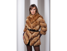 ���� S-51 ����