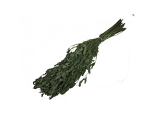 ����� ������� ������.jpg