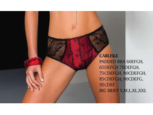 CARLISLE big brief