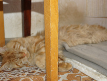 DSC02448.JPG