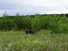 DSC02377.JPG
