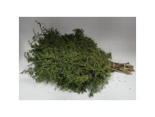 ����� �� �������������.jpg