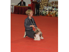 1-IMG_3553.JPG