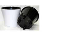 ����� ���� 3.5 �. �����-������.jpg