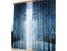 ����� ������ �����.jpg