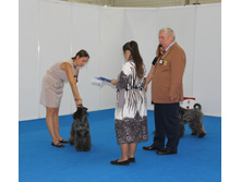 1-IMG_3642.JPG