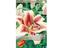 ������ 3,30 ���� �� 3 ��..png