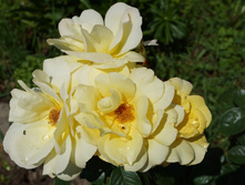 DSC02402.JPG