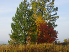 DSC02502.JPG