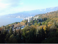 20141113_080928.jpg