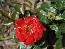 DSC02410.JPG
