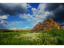 ������� ������web.jpg