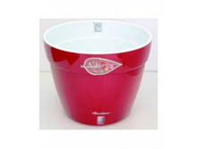 ���� ���� �������-�����.jpg