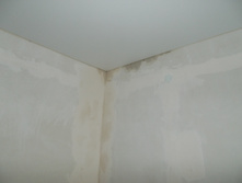 DSCN0952.JPG
