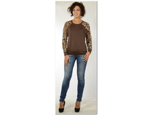 big_cat_3d5335cfbe104147a0a81dc4da4d8a37.png