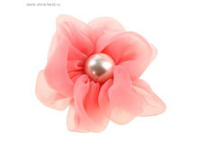 ������� �_����� �������� ����  ���.859458 ���� 47,6 ���. �� 6 �� ������! ������..jpg