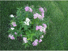 ������ �������� ������ 2-� ������-100���