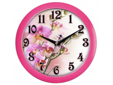 41224 �����.jpg