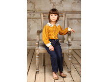 39.13/14 ������ ��������� � ������� �� ������� ����������� �� ��������-870 ���