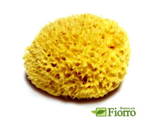 ������� ����� 249�.