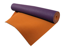 ������ ��� ���� <<Rajas>> (173 � 61 � 0,4) NR