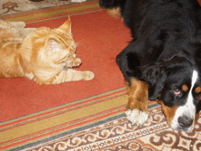 DSC02476.JPG