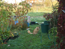 DSC02504.JPG