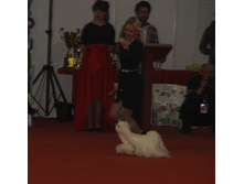 1-IMG_3693.JPG