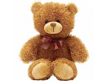 ����� �����